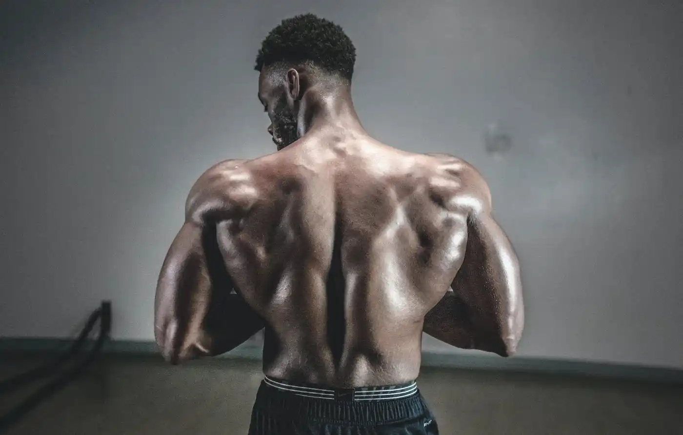 Back
